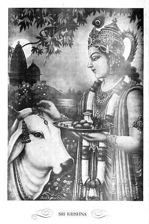 Lord Krishna